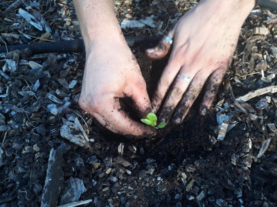 Natural Farm Orientation